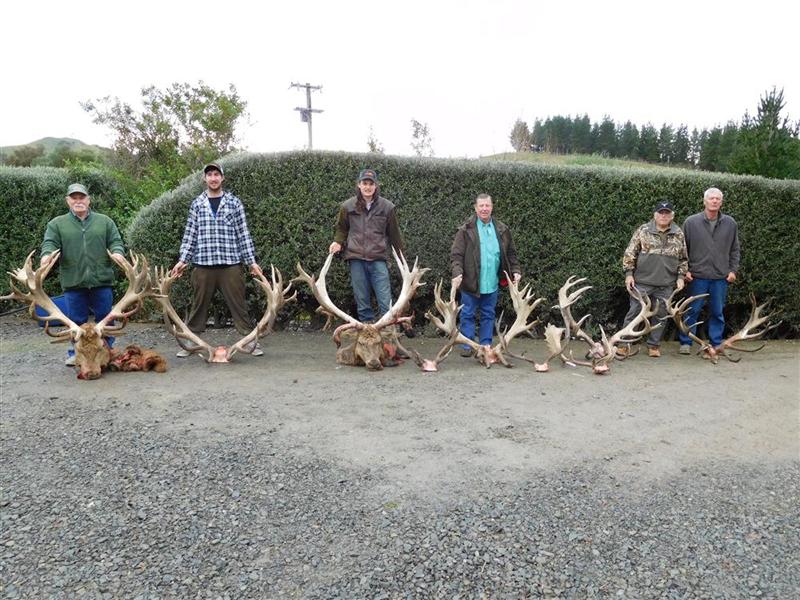 Group Hunting success 